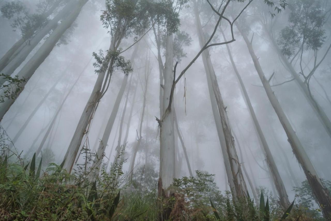 Saffronstays Kurinji Estate Kodaikanal Dış mekan fotoğraf